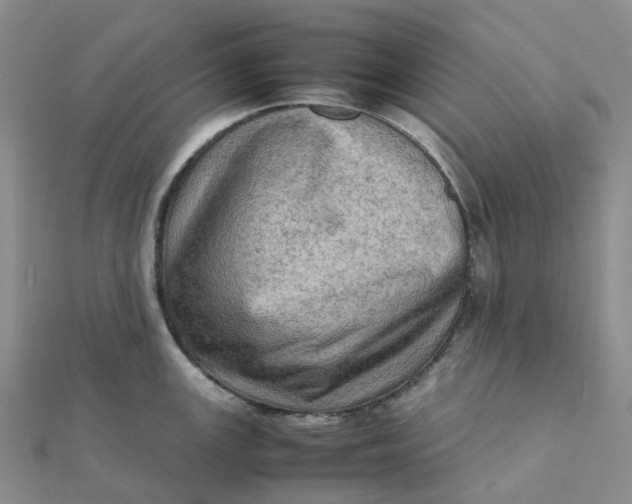 X0000112091147200908251122