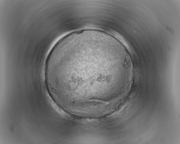 X0000112091148200908251122