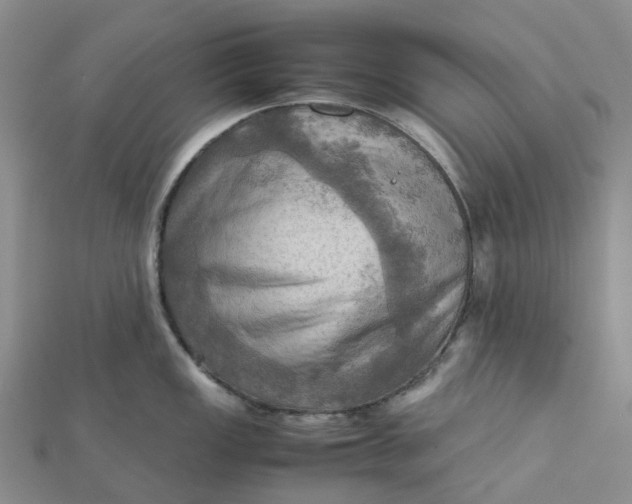 X0000112091149200908251122