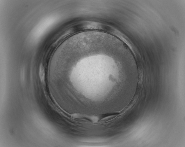 X0000112091151200908251122