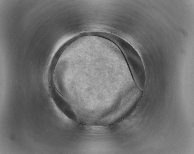 X0000112091152200908251122