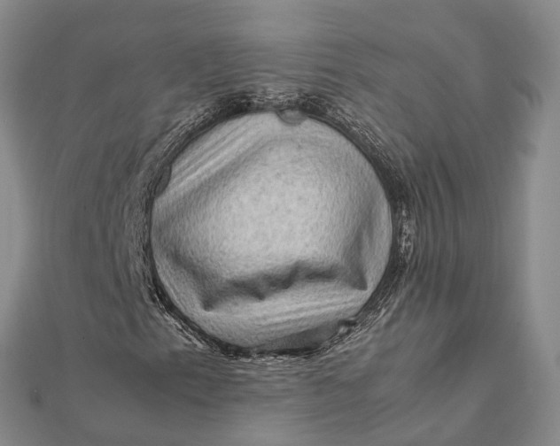 X0000112091153200908251121