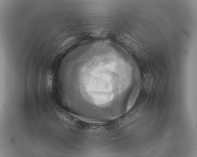 X0000112091154200908251121