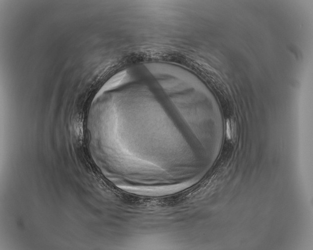 X0000112091155200908251121