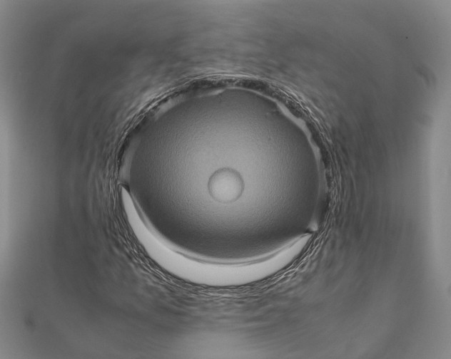 X0000112091157200908251121