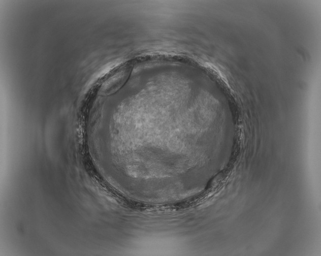 X0000112091159200908251121