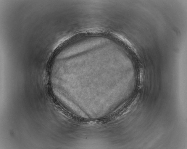 X0000112091160200908251121