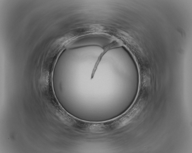 X0000112091161200908251121