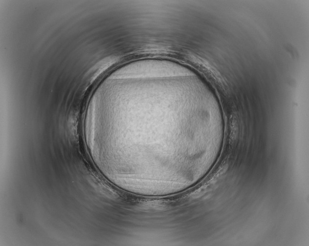 X0000112091162200908251121