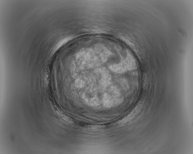 X0000112091163200908251121