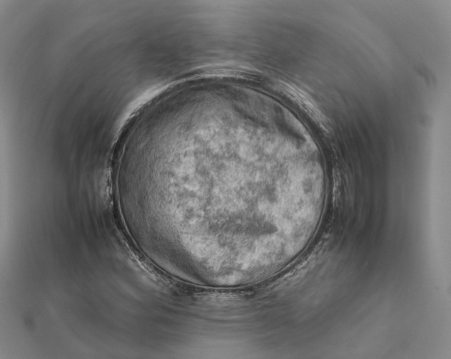 X0000112091164200908251121