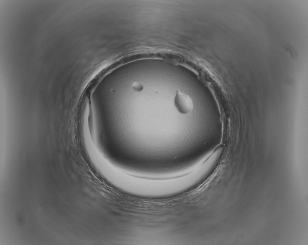 X0000112091165200908251121