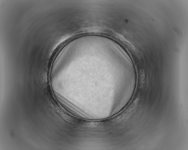 X0000112091166200908251121