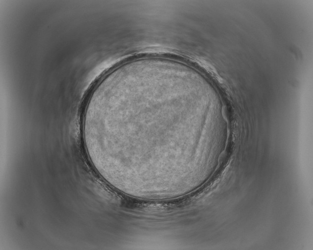 X0000112091167200908251121