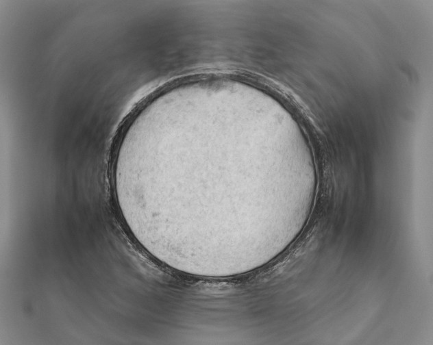 X0000112091168200908251121