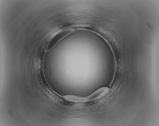 X0000112091169200908251121