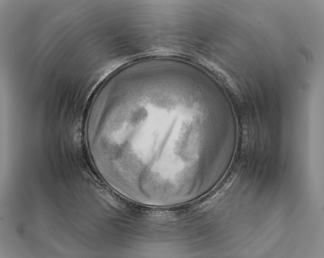 X0000112091170200908251121