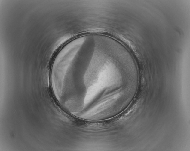 X0000112091171200908251121