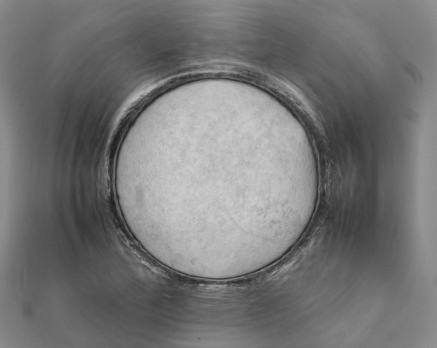 X0000112091172200908251121