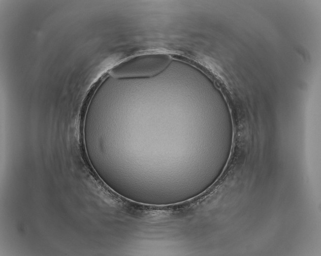 X0000112091173200908251121