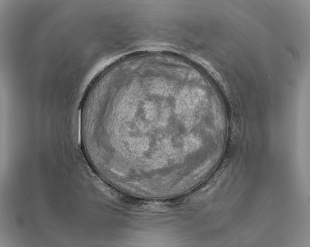 X0000112091175200908251121