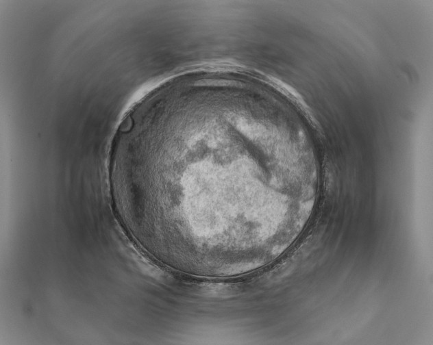 X0000112091176200908251121