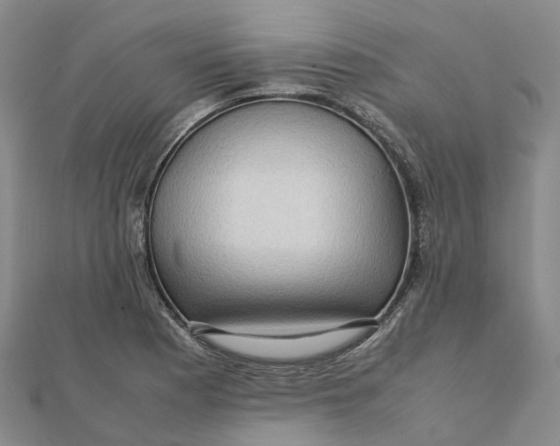 X0000112091177200908251121