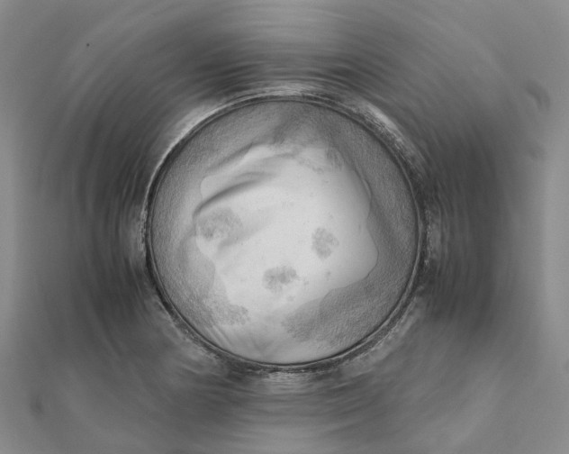 X0000112091178200908251121