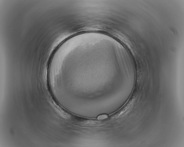 X0000112091179200908251121