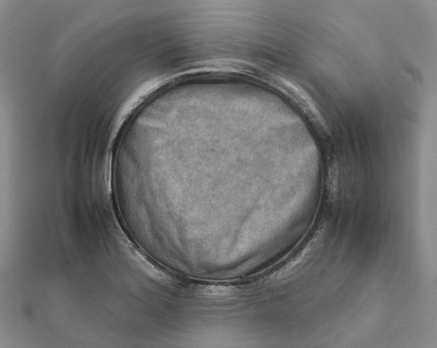 X0000112091180200908251121