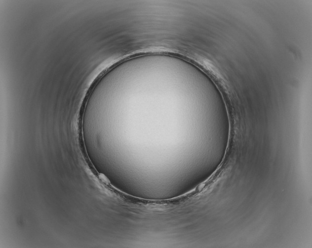 X0000112091181200908251121