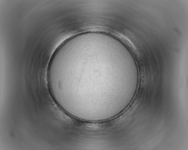 X0000112091182200908251121