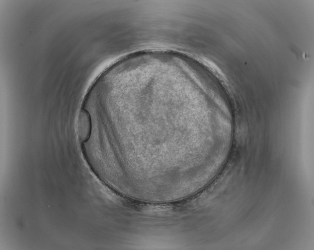 X0000112091183200908251121