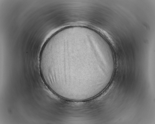 X0000112091184200908251121