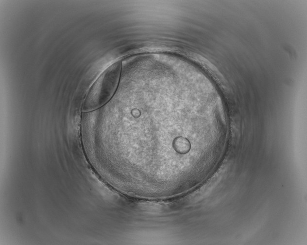 X0000112091185200908251121