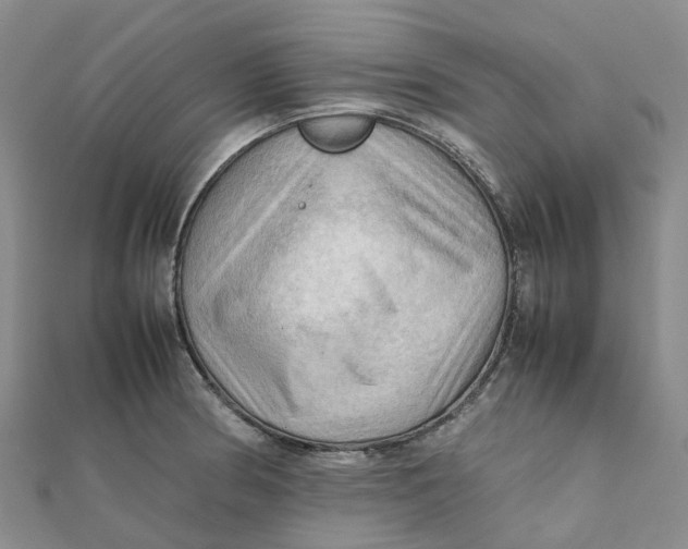 X0000112091186200908251121