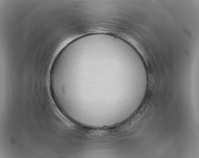 X0000112091187200908251121