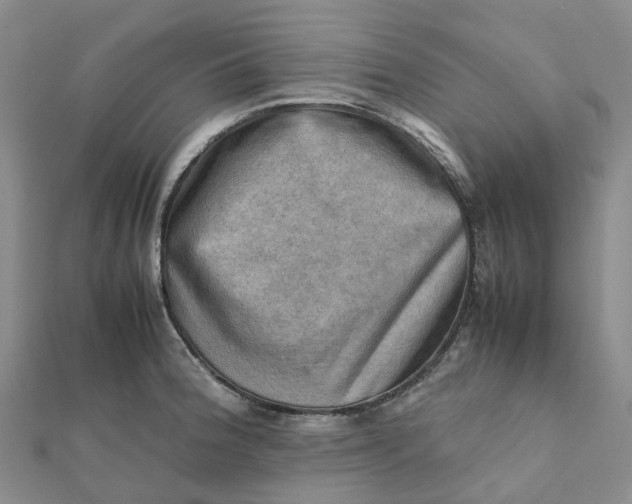 X0000112091188200908251121