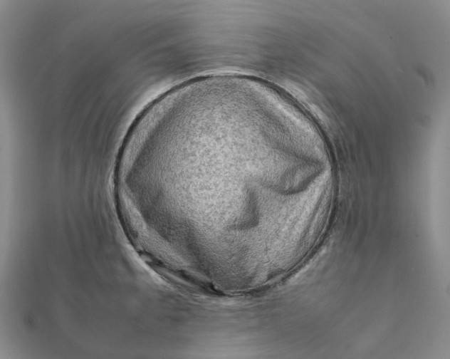 X0000112091189200908251121