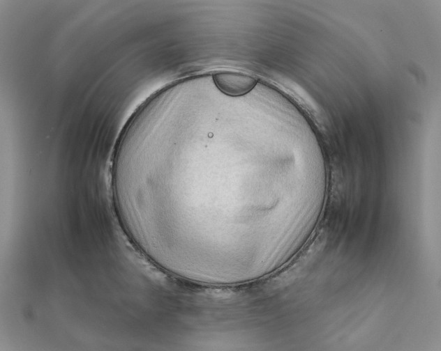 X0000112091190200908251121