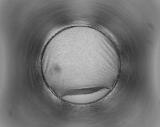 X0000112091192200908251121