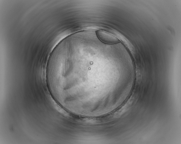 X0000112091194200908251121