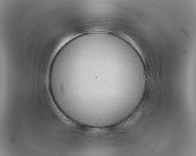 X0000112091195200908251121