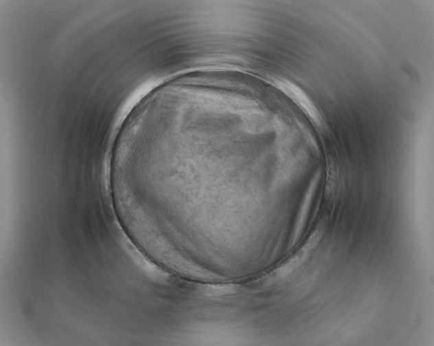 X0000112091196200908251121