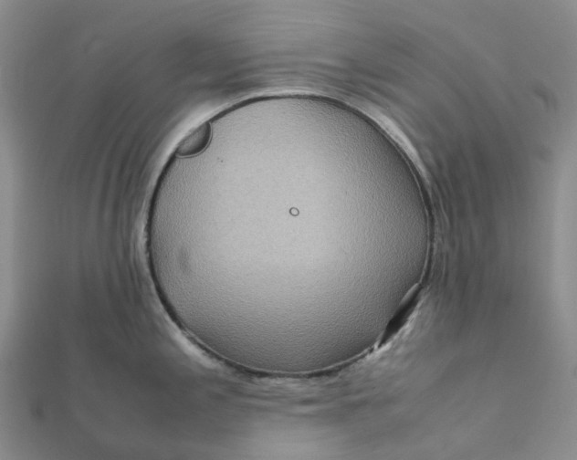 X0000112091197200908251121