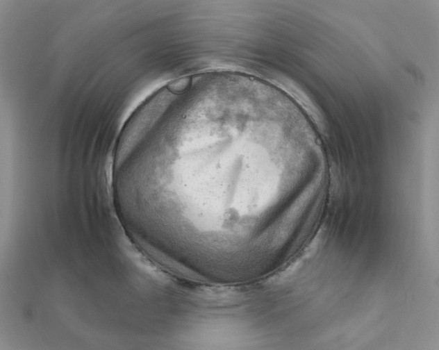 X0000112091198200908251121