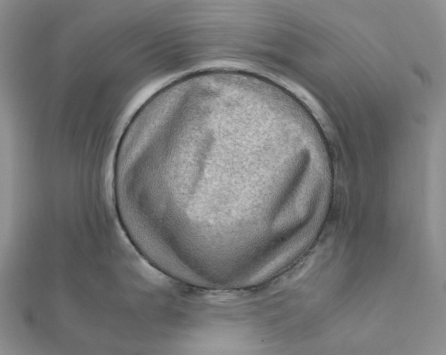 X0000112091199200908251121