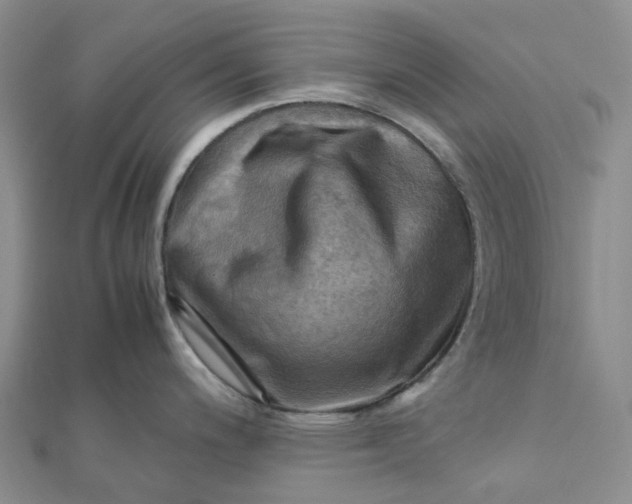 X0000112091200200908251121