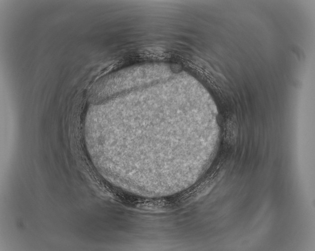 X0000112091201200908251120