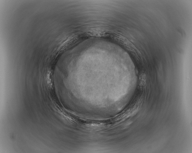 X0000112091202200908251120